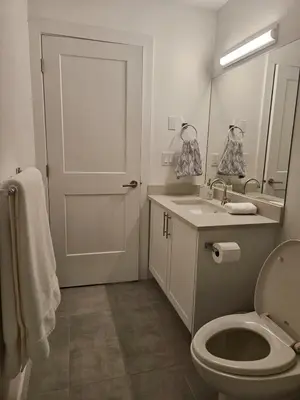 a bathroom with a toilet and a sink and a mirror at Cozy new Suite in Silver Valley in Maple Ridge District Municipality