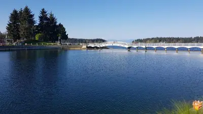 a bridge over a large body of water at Campbell Cottage B&B in Nanaimo