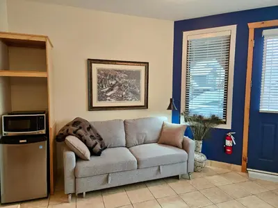 a living room with a couch and a microwave at Pika's Place Bed and Breakfast in Canmore