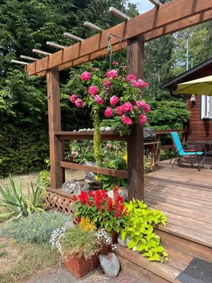 a wooden pergola with flowers on a deck at Oyster River Guest Room in Campbell River