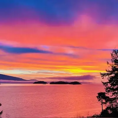 Oceanfront Garden Suite - Stunning Views & Wildlife