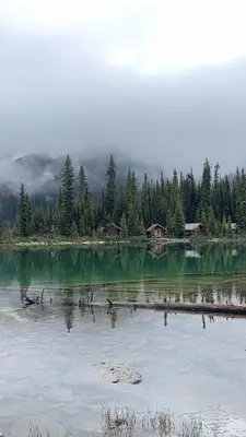 a lake with a group of birds sitting on a log at Newly Built 2BR Mountain Escape in DT Canmore! in Canmore