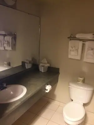 a bathroom with a white toilet and a sink at Foxwood Inn and Suites in Fox Creek