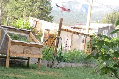 a birdhouse and a house in a yard at Friendly Footprint in Golden