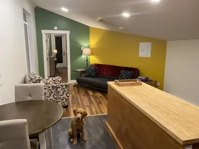a dog sitting in a living room with a counter at Bluebird Nest in Golden