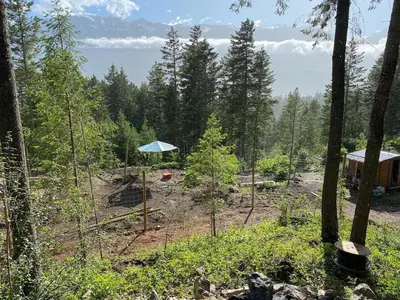 a blue umbrella in the middle of a forest at Tamarack Suite in Golden