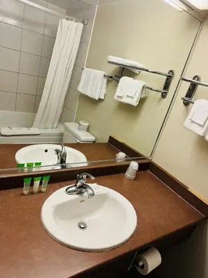 a bathroom with a sink and a mirror at Silver crest lodge in Grande Prairie