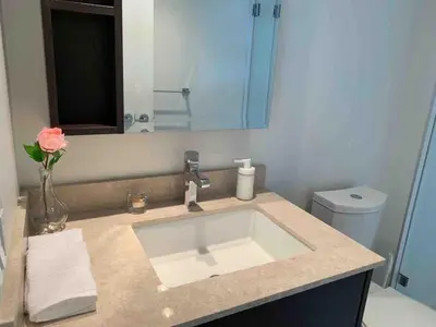 a bathroom with a sink and a vase with a flower at Comfort in Richmond center 2bedr & good location in Richmond