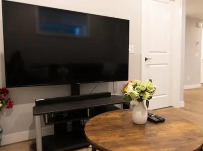a living room with a television and a vase with flowers on a table at GoodVibes in Calgary