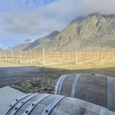 Spacious Getaway Two Homes on a Tranquil Vineyard Ideal for Large Groups