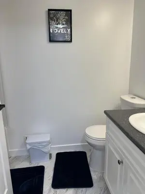 a bathroom with a toilet and a picture on the wall at 2bedroom, 2bed day light Suite in a nice and secured neighborhood in Prince George