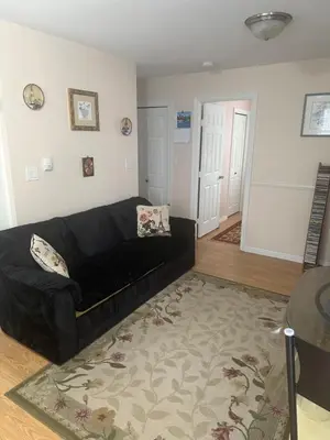 a living room with a black couch and a rug at Clean and Quiet 2 bdr 2 bthr private entrance entire guests suite near Coquitlam Center mall and skytrain in Coquitlam