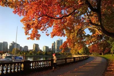 a person running down a path in a park with a tree at The Como Hotel in Vancouver