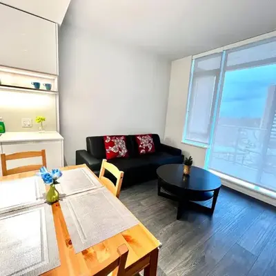 Exquisite 1bed 1 bath locates in city center