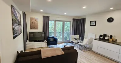 a living room with a couch and a television at Casa del Rio - Peaceful River Guest Suite -Forests -Mountains -Hiking in Chilliwack