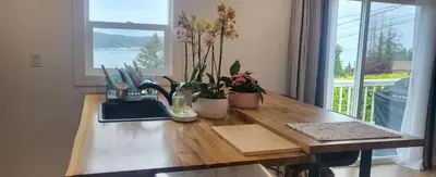 a kitchen counter with a sink and a window at Sea view stay in Lantzville