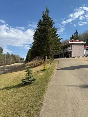 a road in front of a building with a tree at Athabasca Hillside Motel in Athabasca