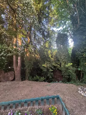 a green bench in a garden with a tree at Sasha-Home 538 Brookmere Ave in Coquitlam