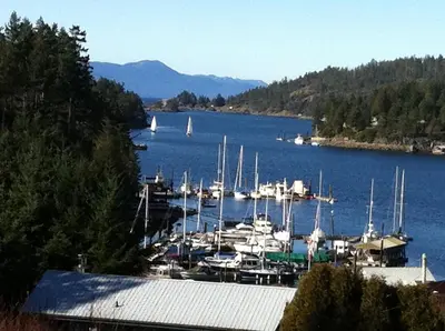 a bunch of boats are docked in a harbor at Enchanter Ocean View Suites in Madeira Park