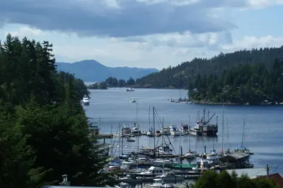 a bunch of boats are docked in a harbor at Enchanter Ocean View Suites in Madeira Park