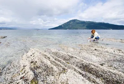 a child sitting on the shore of a body of water at Belle Maison Auprès De La Mer in Sidney