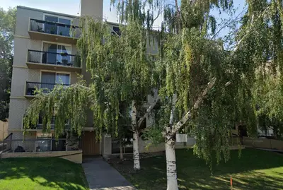 an apartment building with a tree in front of it at Modern 1br Apt, Up to 4 people, Steps to 17th Ave, Downtown & Stampede in Calgary