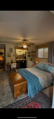 a bedroom with a bed and a ceiling fan at Sea 'N' Stars BNB in Gabriola