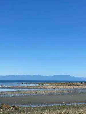 a beach with rocks and the ocean in the background at Sea 'N' Stars BNB in Gabriola
