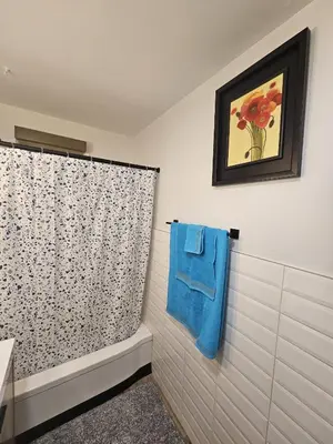 a bathroom with a shower curtain and a tub at Aansel Suites 2 bedroom in Edmonton
