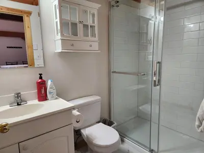 a bathroom with a shower and a toilet and a sink at Alpenrose 4, Hottub, Mountains View, AC, sleep 5 in Golden