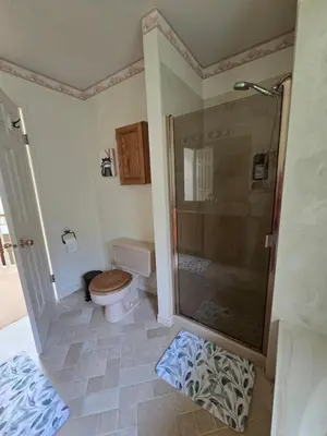 a bathroom with a toilet and a shower at Luxury 3BR Home, 2 King Beds, Near cafes and groceries in North Vancouver