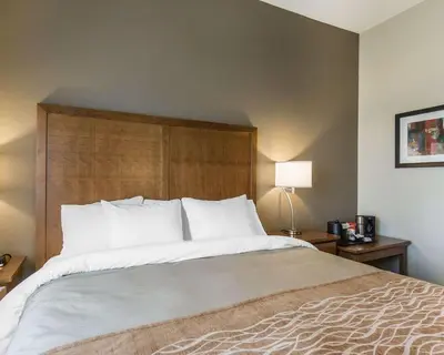 a bedroom with a large bed with a wooden headboard at Comfort Inn & Suites Edmonton International Airport in Nisku