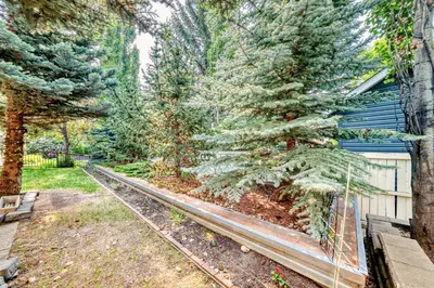 a garden with pine trees and a fence at cozy two bedrooms with external bathroom just for you in Calgary