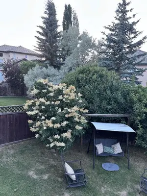 a table and chairs in a yard with a tree at Valley Gateway in Calgary