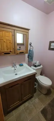 a bathroom with a sink and a toilet at Beautiful Cabin near Radium Hot Springs with private hot tub in Radium Hot Springs