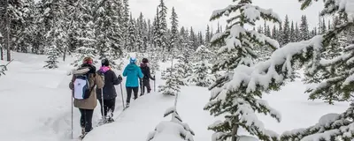 a group of people cross country skiing through a snow covered forest at Perfection South 1 in Big White