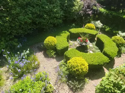 an outdoor garden with bushes and flowers and plants at Shaughnessy Heritage Manor on Vancouver's Westside free housekeeping optional in Vancouver