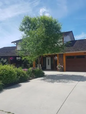 a house with a tree in front of a driveway at Just across from the lake ! in Kelowna