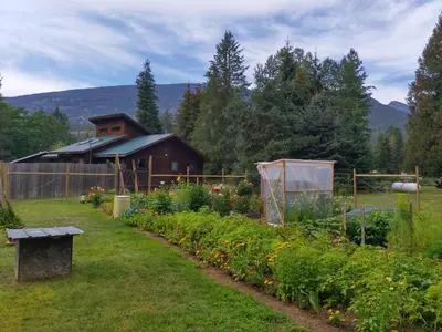 a garden in front of a house with a building at Beatrice Place in Slocan