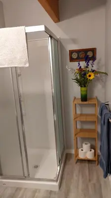 a shower stall in a bathroom with a vase of flowers at Beatrice Place in Slocan