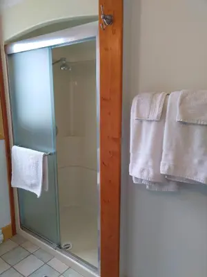 a bathroom with a glass shower stall with towels at Beatrice Place in Slocan