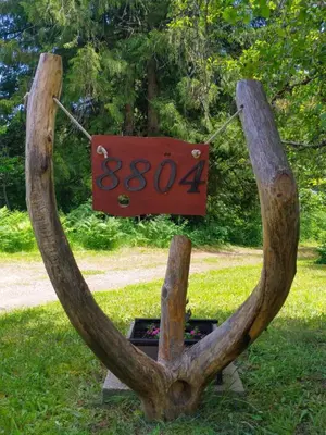 a sign with antlers and a sign in the grass at Beatrice Place in Slocan