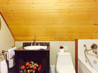 a bathroom with a toilet and a sink at Luna Bed & Breakfast in Grand Forks