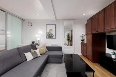 a living room with a gray couch and a tv at Cozy 1BR BSMT Escape Large Free Parking in Coquitlam