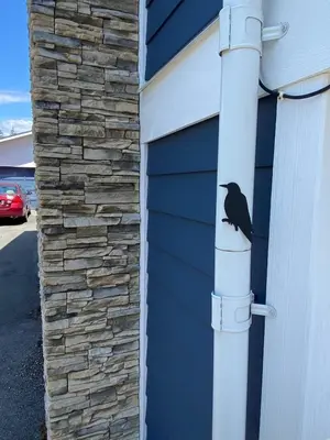 a black bird sitting on the side of a garage at Ravens Nest Cozy Lower One Bedroom Suite in Victoria