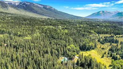 an aerial view of a forest with mountains in the background at HI Nordegg - Hostel in Nordegg