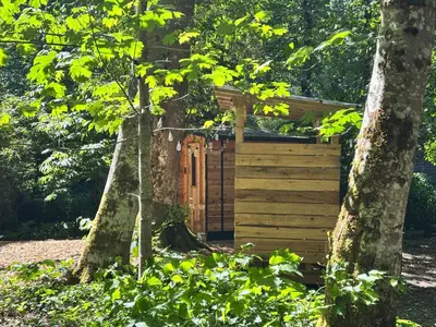 a wooden out house in the middle of trees at Riverwood Retreat-hot tub and cedar sauna on the river in Squamish