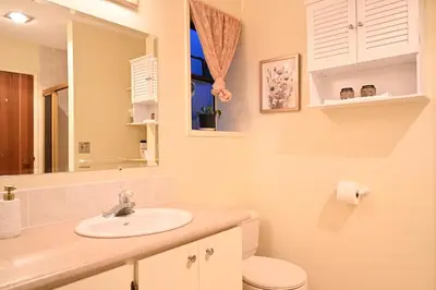 a bathroom with a sink and a toilet and a mirror at Departure view in Nanaimo