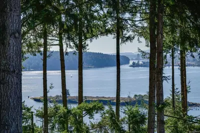 a view of a lake through the trees at Departure view in Nanaimo