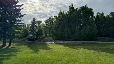 a grassy yard with stairs and trees in the background at Spacious mountain view guesthouse in Calgary